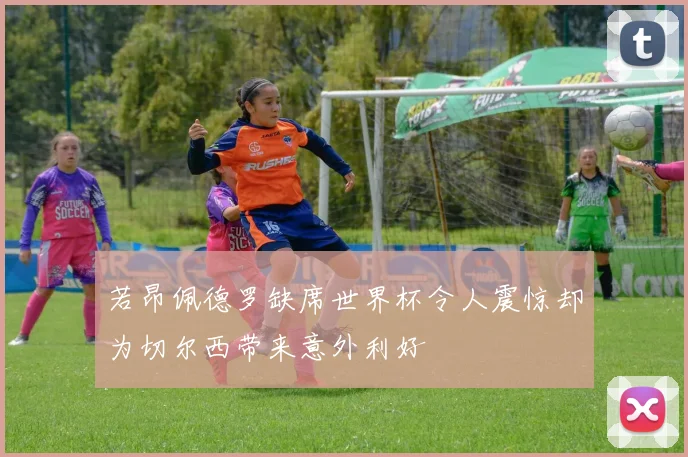 若昂佩德罗缺席世界杯令人震惊却为切尔西带来意外利好